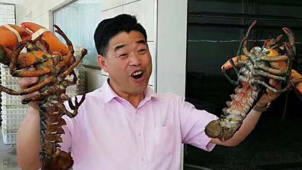 Nathan Song, director of Bay Shore Lobster, holds the fruit of the company's labour.