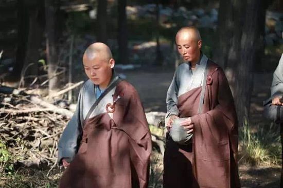 中国真正的尼姑，让人莫名的热泪盈眶
