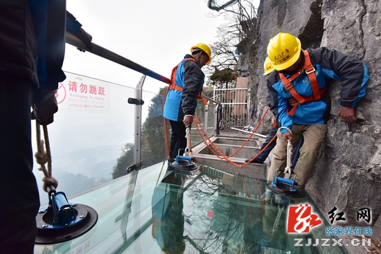 悬崖峭壁上高空作业 天门山玻璃栈道全新换装（组图）