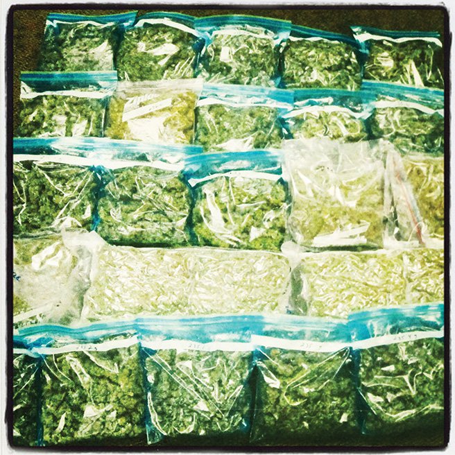 最新布莱恩善:一湾街大师肖像和郊区毒贩