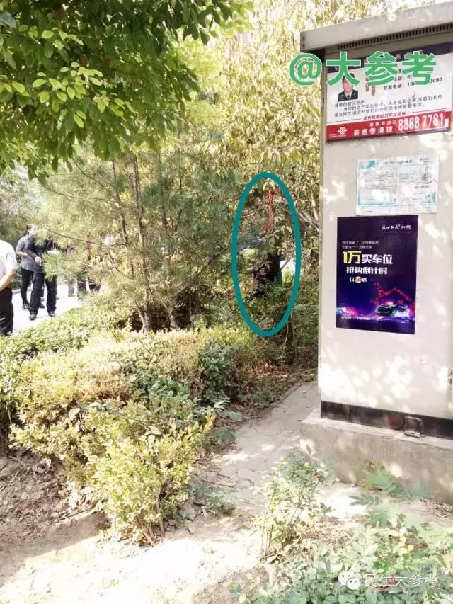老人跪着吊死在小区树上 儿子被围观者扔鸡蛋