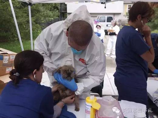 囤积癖夫妇囤了276只汪，营救时竟出动防化军团?