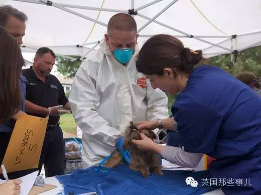 囤积癖夫妇囤了276只汪，营救时竟出动防化军团?