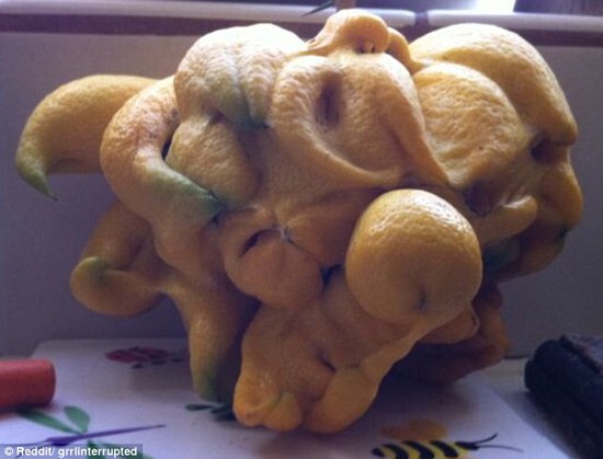 人脸香蕉,乳头培根...看了这些你还吃得下去吗！