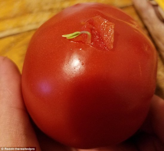 人脸香蕉,乳头培根...看了这些你还吃得下去吗！