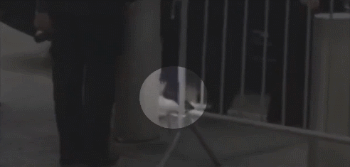 20160913_14738061161083.gif 0 (1).gif