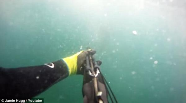 美国加州男子<a href='http://search.xinmin.cn/?q=潜水' target='_blank' class='keywordsSearch'>潜水</a>遭<a href='http://search.xinmin.cn/?q=巨鲨' target='_blank' class='keywordsSearch'>巨鲨</a>咬脚 以为友人&ldquo;<a href='http://search.xinmin.cn/?q=整蛊' target='_blank' class='keywordsSearch'>整蛊</a>&rdquo;