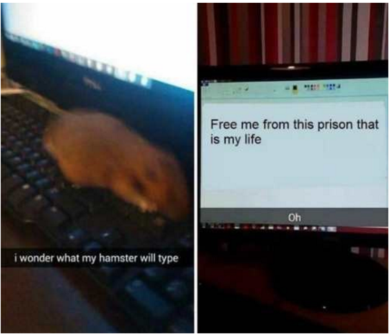 24.png