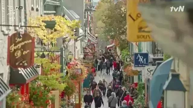 解密《鬼怪》取景地&mdash;&mdash;孤独又灿烂的魁北克