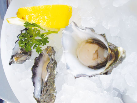 20170114_14844140296825.jpg 图片