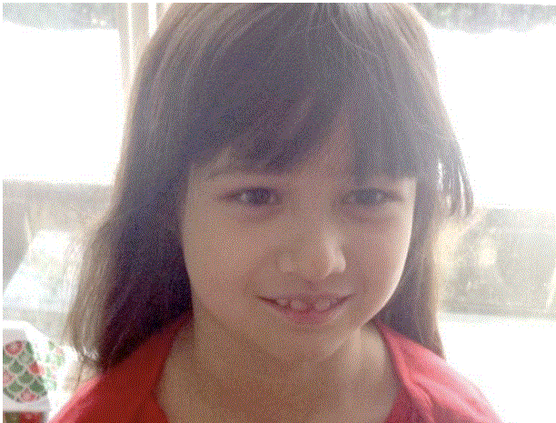 20170124_14852832501347.gif 图片