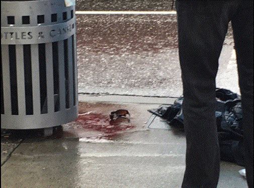 20170302_14884963781393.gif 图片