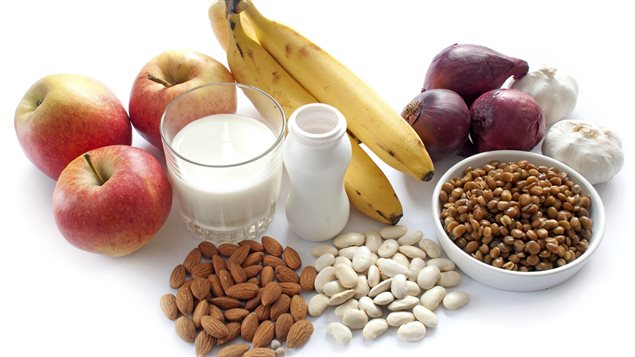 20170405_14914555725498.jpg 151028_39824_bdsa_aliments-probiotique_sn635.jpg