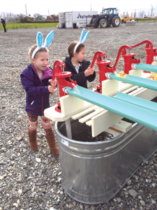 20170424_14930763677629.png Dushi0424.7.2-225x300.png