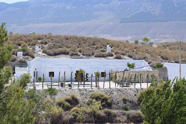 20170614_14974960985071.jpg 1.jpg