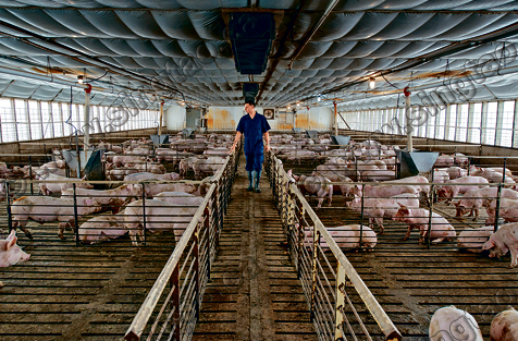 20170705_14992729272396.png Capture.PNG