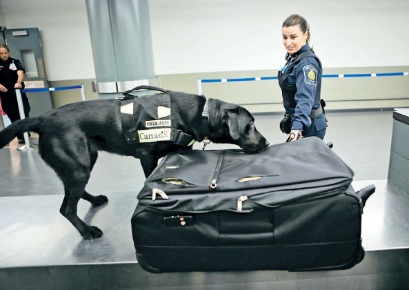 20170901_15042958813750.png DUshi0901.2.1-593x420.png