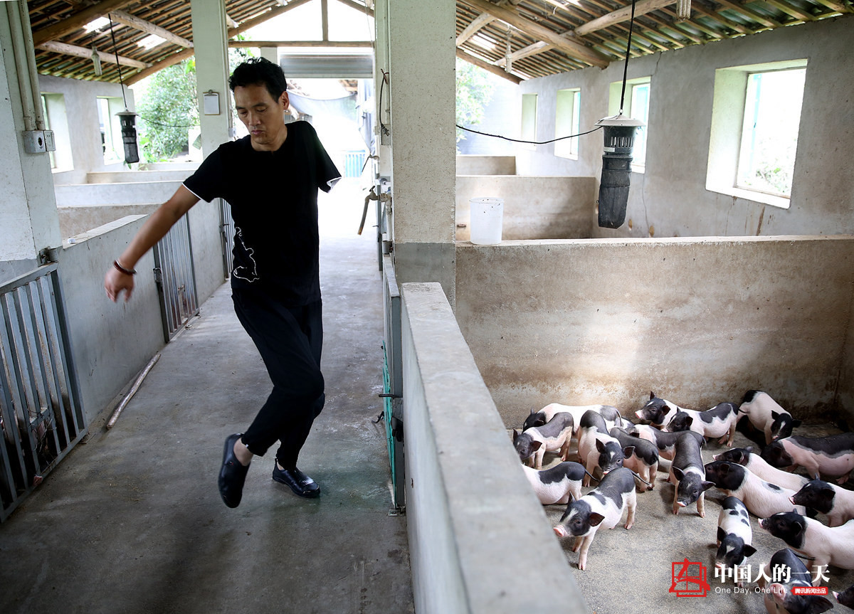 中国人的一天中国人的一天2806期:独臂男子乱坟岗上养猪 成千万富翁