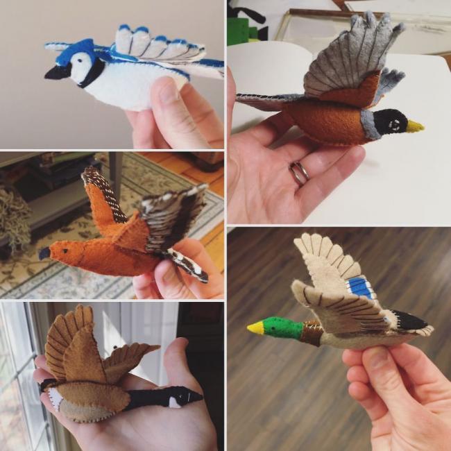 20170913_15053612082619.jpeg 图片