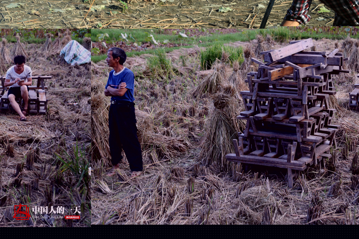 中国人的一天中国人的一天2845期：金秋十月侗家&ldquo;烧鱼节&rdquo; 摆长桌宴畅饮美酒
