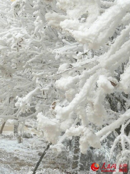 点击查看大图 图片