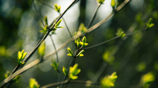 20180301_15199549567354.png 3_131153I5.png