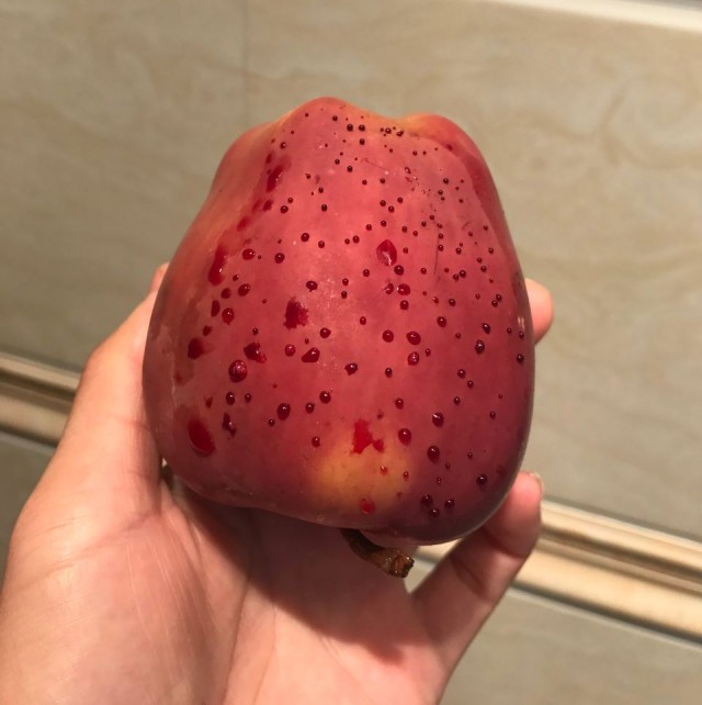 20180321_15216936092325.jpg 1_21100194A_1.jpg