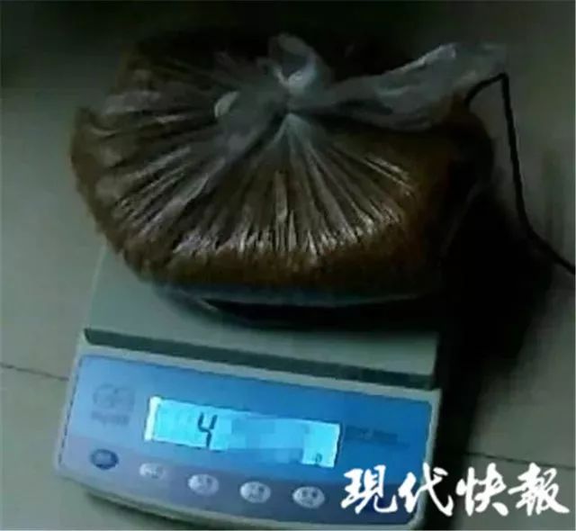 20180402_15227238728812.jpeg catchpic%2F0%2F0d%2F0da2dcce81e99d69a2cc7167de17f66d.jpeg