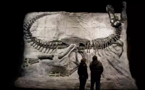 20180422_15244478135106.jpg Snap005.jpg