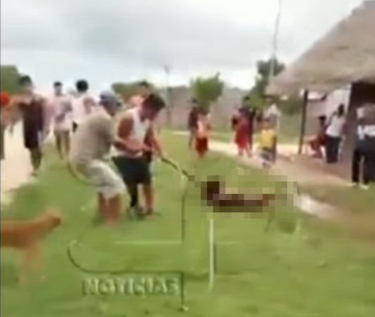 20180424_15246270071181.jpg d3246592.jpg