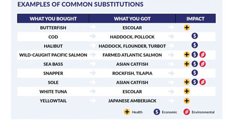 20180829_15355944191402.jpg _28NU02D.jpg