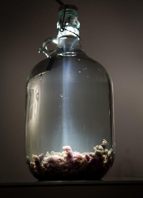 点击查看大图 图片