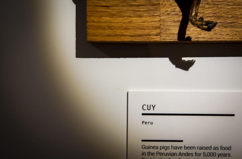 点击查看大图 图片