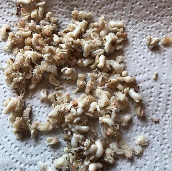 点击查看大图 图片