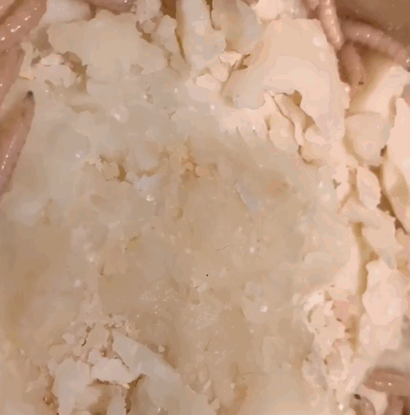 点击查看大图 图片