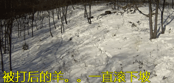 640 (1).gif