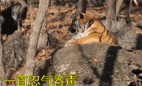 640.gif