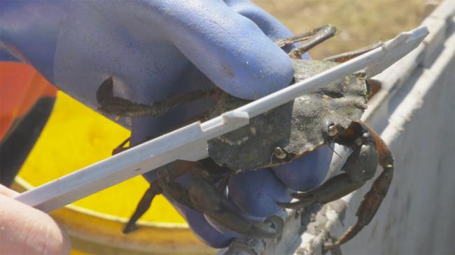 20170727_15011888696781.jpg 10-things-every-foodie-can-relate-to-8__880.jpg