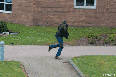 20190901_15673914484284.gif 图片