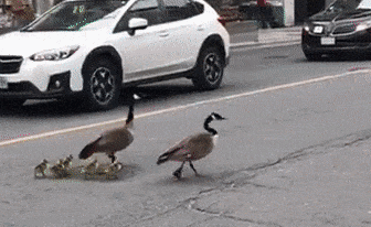 20190901_15673914964439.gif 1.gif