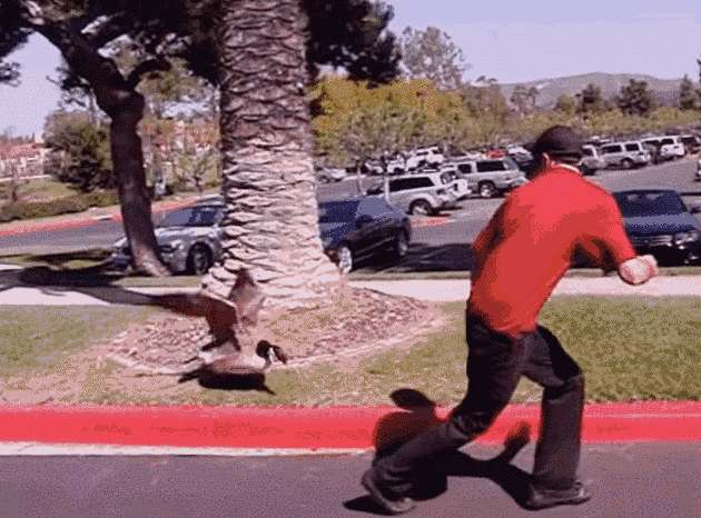 20190901_15673915377269.gif 04230eb1-d763-4781-829a-9b4ada119b8b.gif