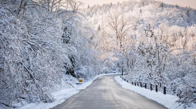 20190901_15673910123178.jpg 图片