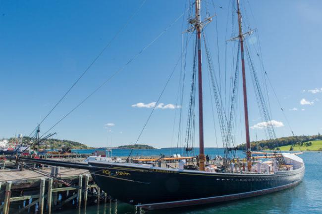 20190901_15673918661381.jpg 图片