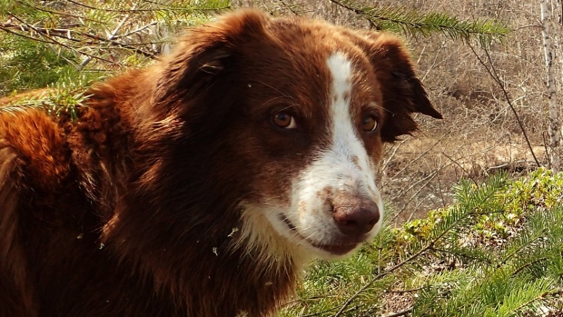 20191025_15720339359052.jpg image.jpg