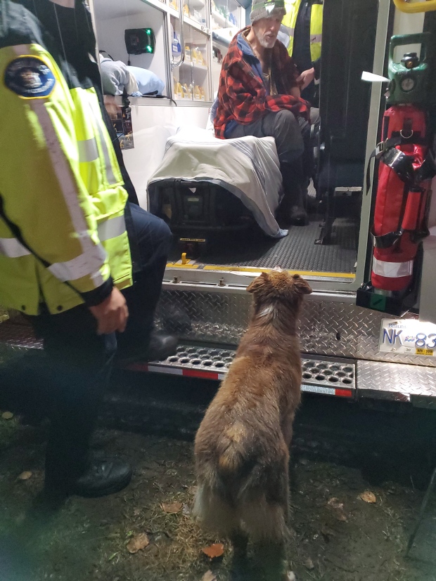 20191025_15720339448780.jpg image (1).jpg