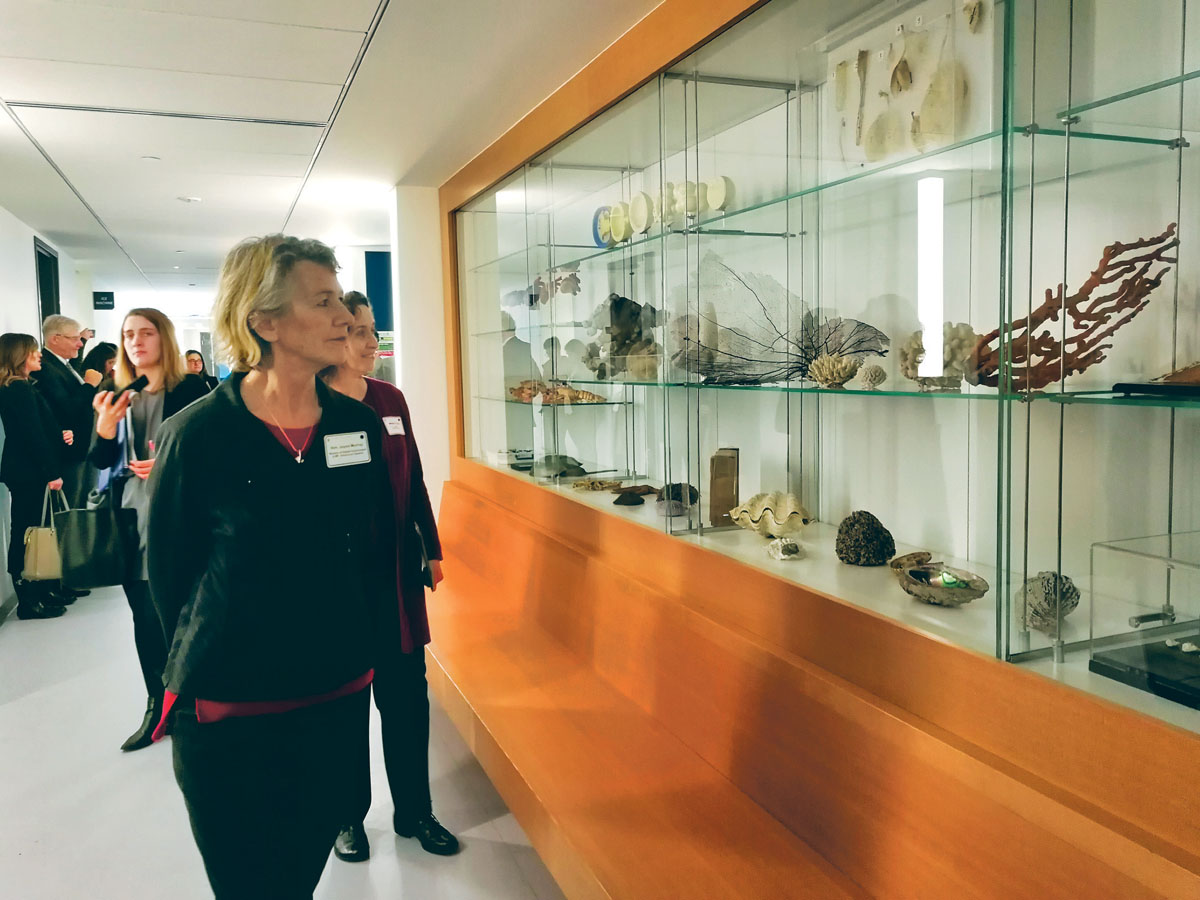 ■梅丽乔参观大楼内展览的动植物标本。 
