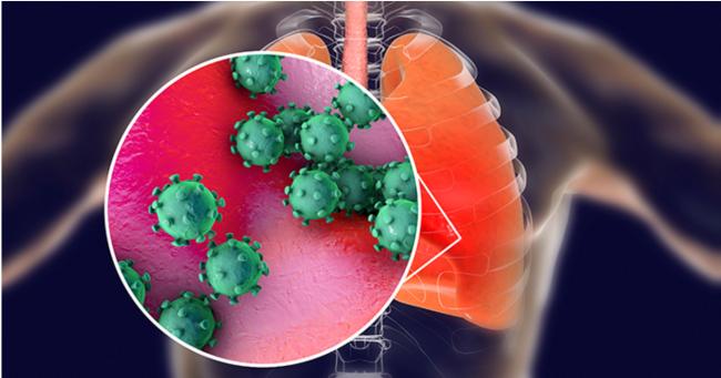 20200305_15834497905081.png 1.png