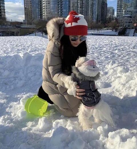 53岁王祖贤素颜近照,雪中抱狗惊艳众人,连发质都保养得青春飘逸