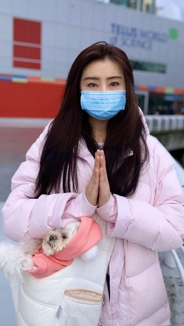 53岁王祖贤素颜近照,雪中抱狗惊艳众人,连发质都保养得青春飘逸