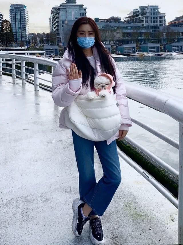 53岁王祖贤素颜近照,雪中抱狗惊艳众人,连发质都保养得青春飘逸